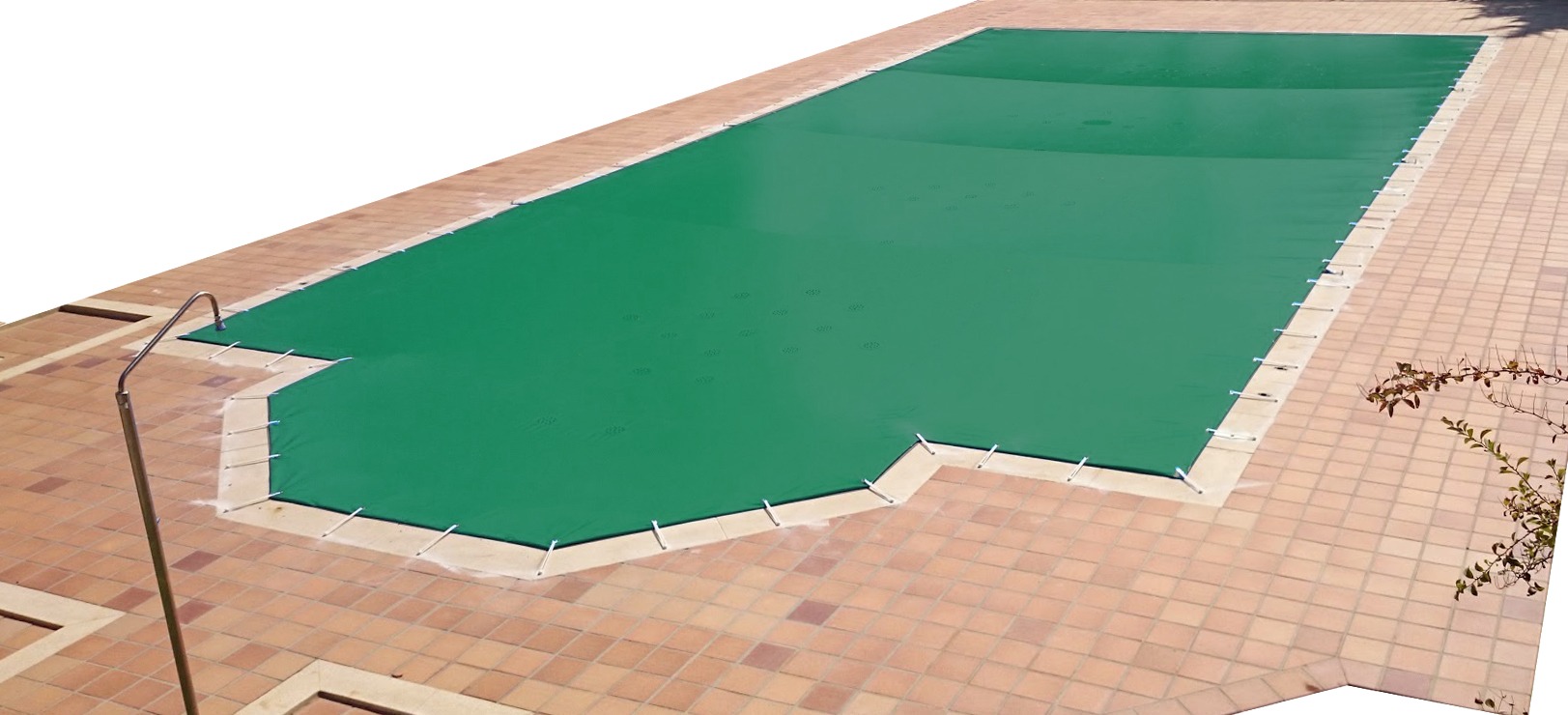 Cubierta verde de invierno - Imagen 3